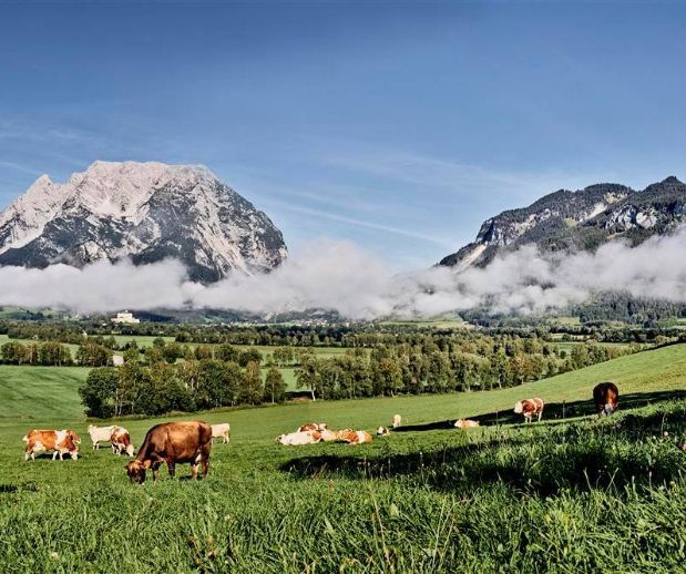 Ennstal Iberia: Innovación y Calidad Alimentaria Desde el Corazón de los Alpes Austríacos